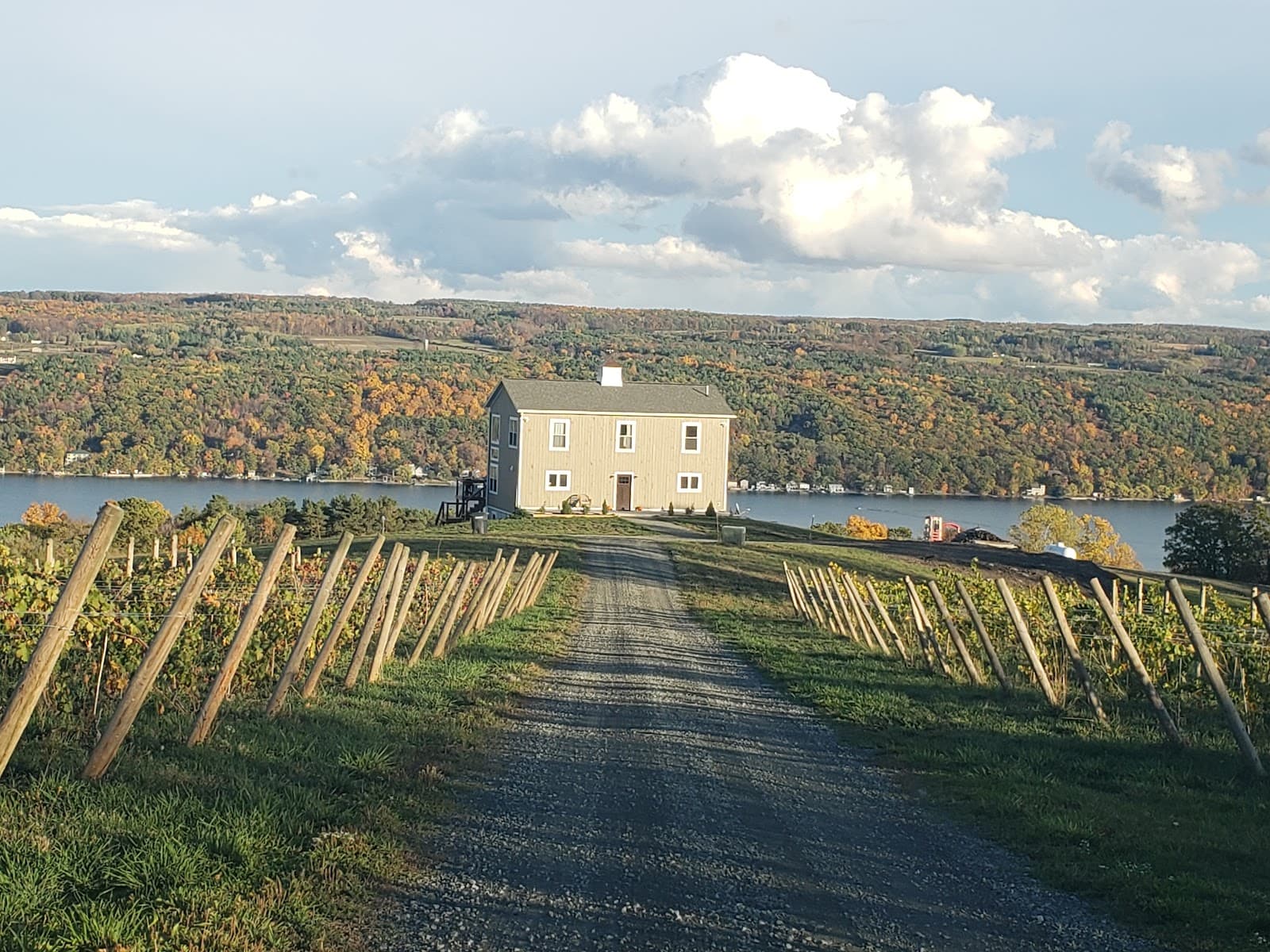 Divided Sky Vineyard