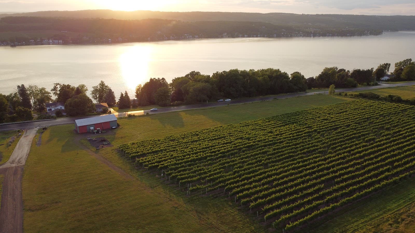 Rooster Hill Vineyards