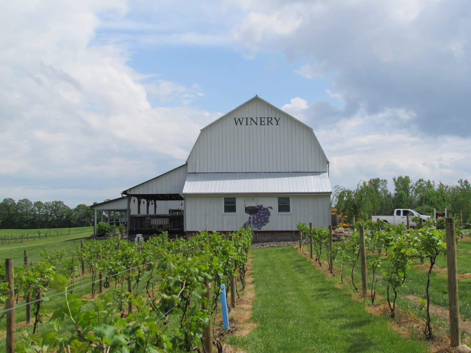 Izzo's White Barn Winery